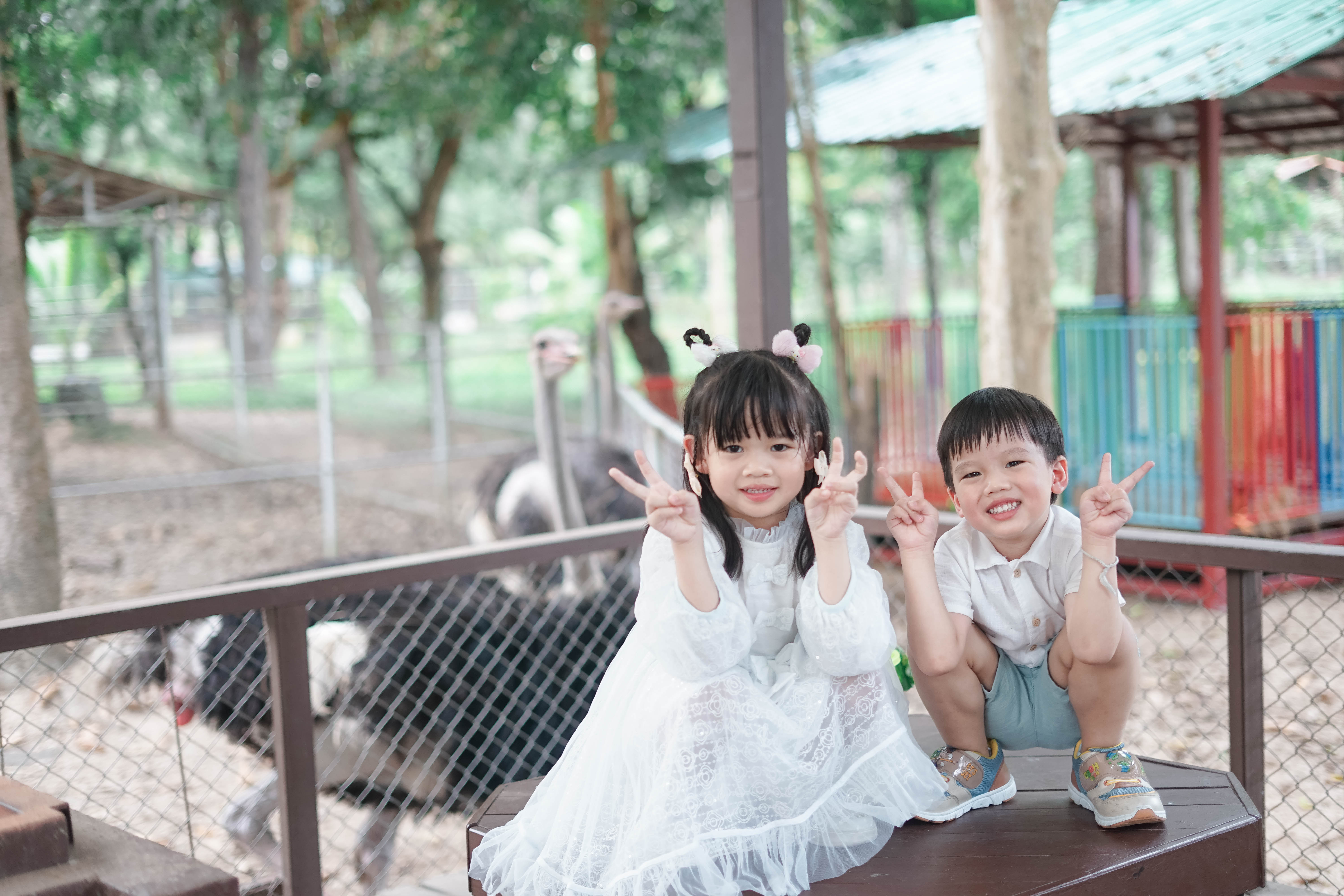 Children enjoying the Animal Experience Zone
