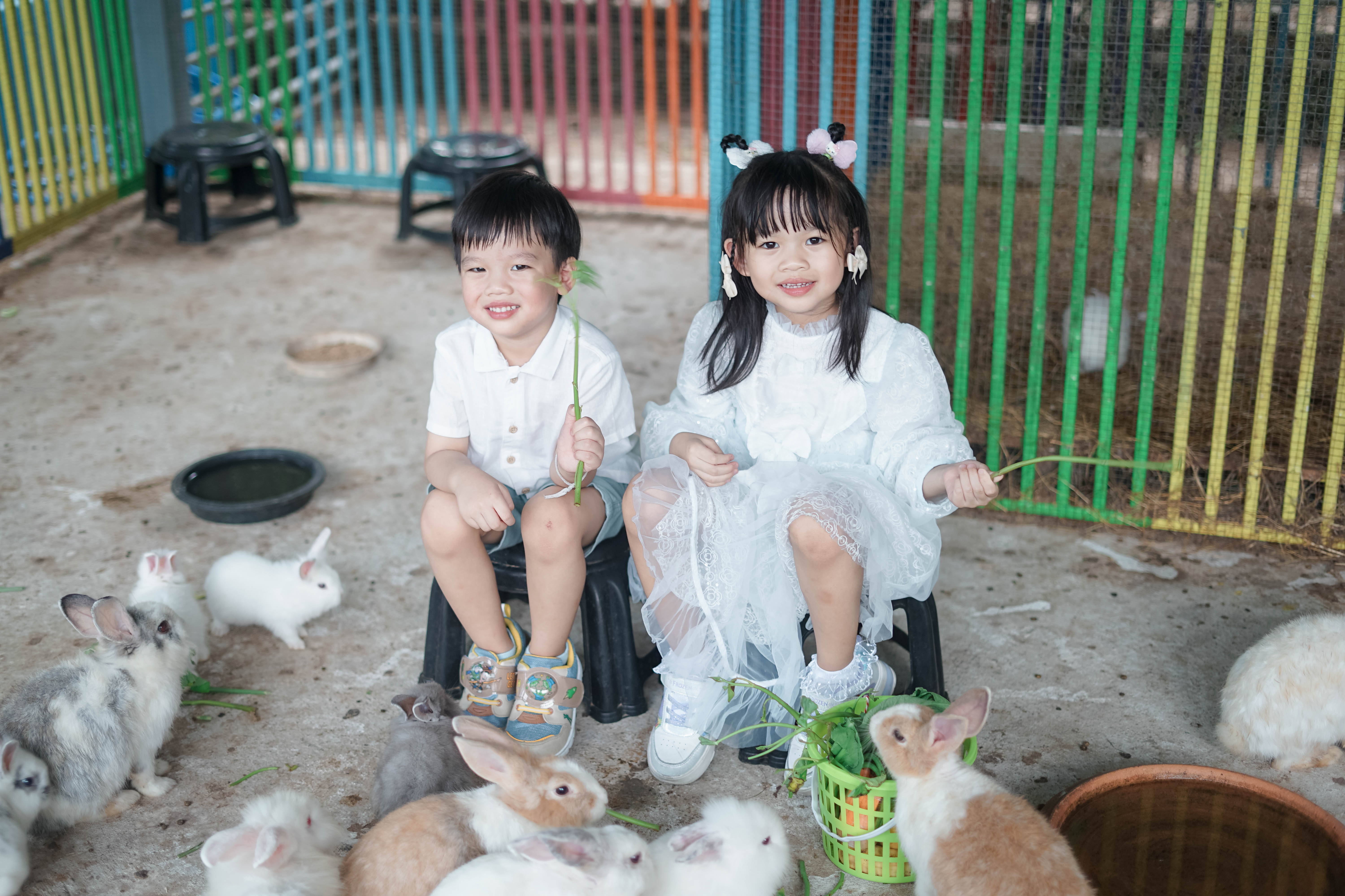 Children feeding rabbits